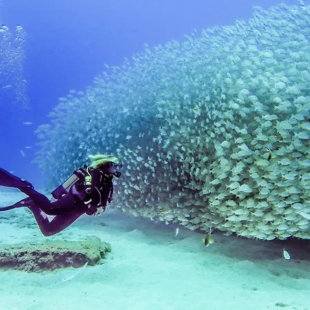 With Private Bathroom And Sea View, 50 M Del Mar Проживание в семье Радазул