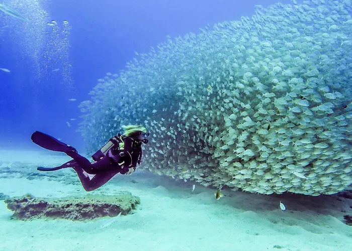 With Private Bathroom And Sea View, 50 M Del Mar Accommodatie bij particulieren Radazul